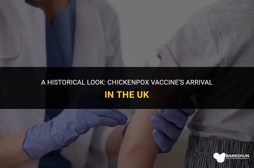 when was chickenpox vaccine introduced in uk