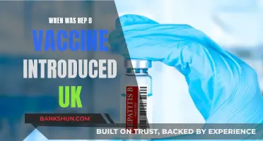 Hepatitis B Vaccine: A Historical Overview of Its Introduction in the UK