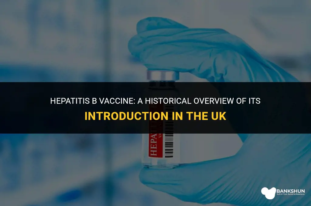 when was hep b vaccine introduced uk