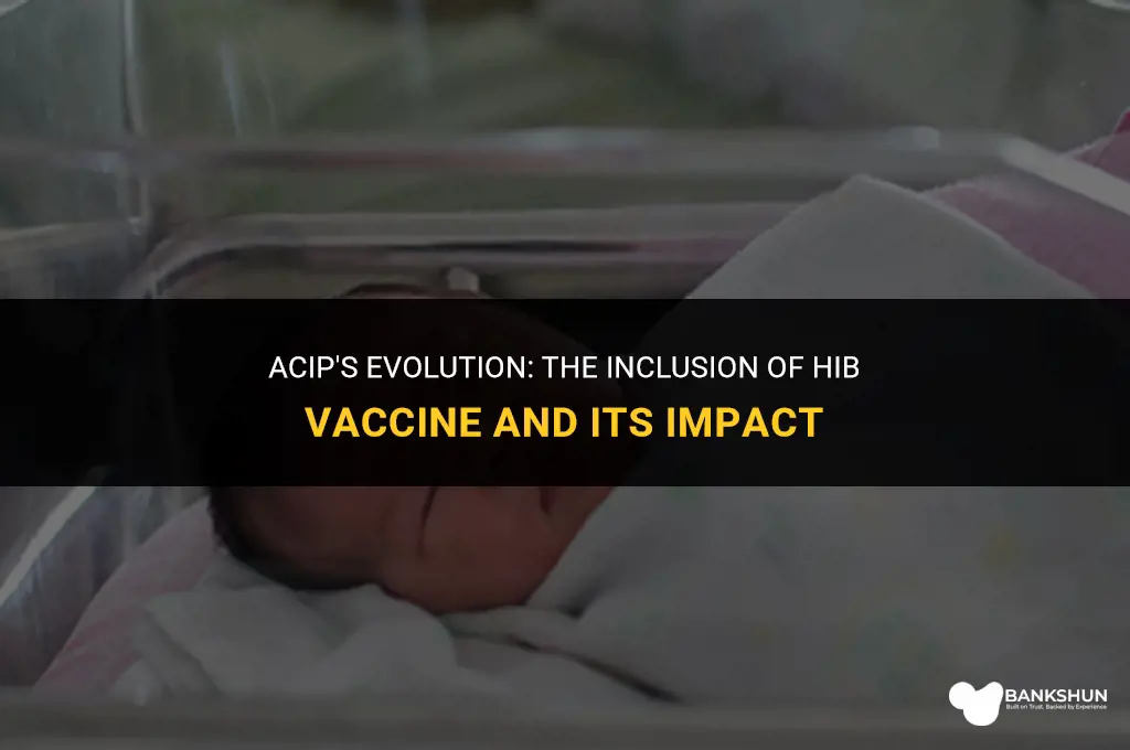 when was hib vaccine added to acip