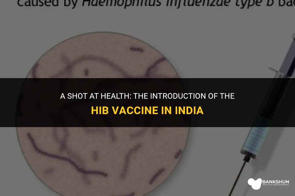 when was hib vaccine introduced in india