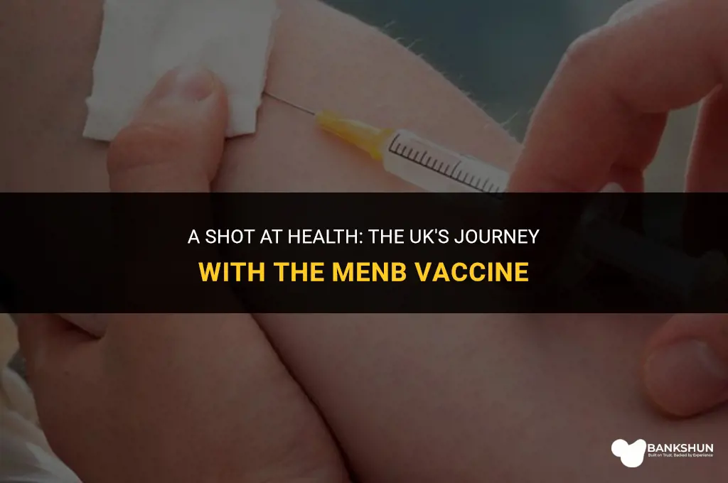when was menb vaccine introduced in uk