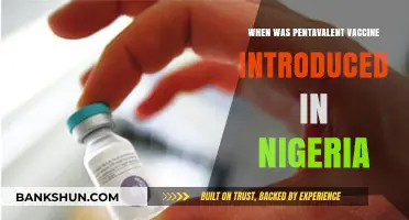 Nigeria's Health Milestone: The Introduction of the Pentavalent Vaccine