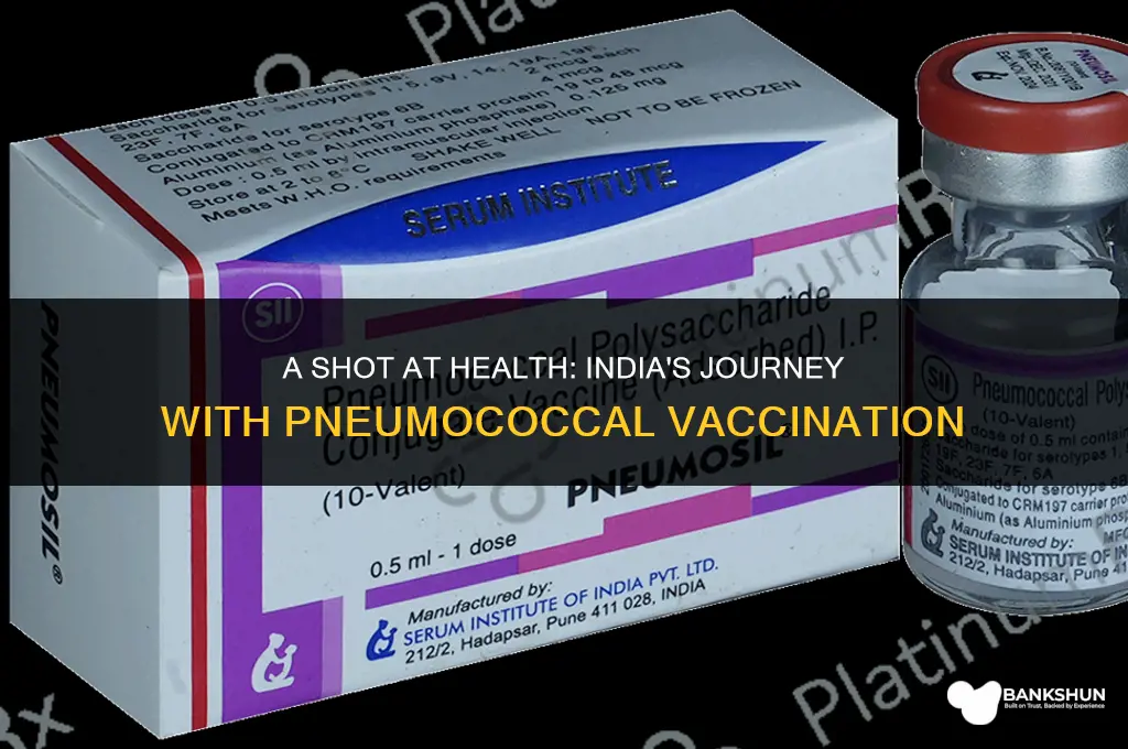 when was pneumococcal vaccine introduced in india