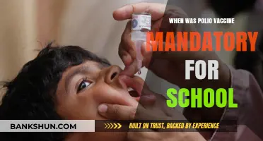 Polio Vaccine Mandate: A Timeline for School Requirements