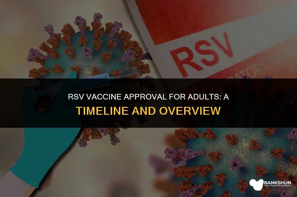 when was rsv vaccine approved for adults