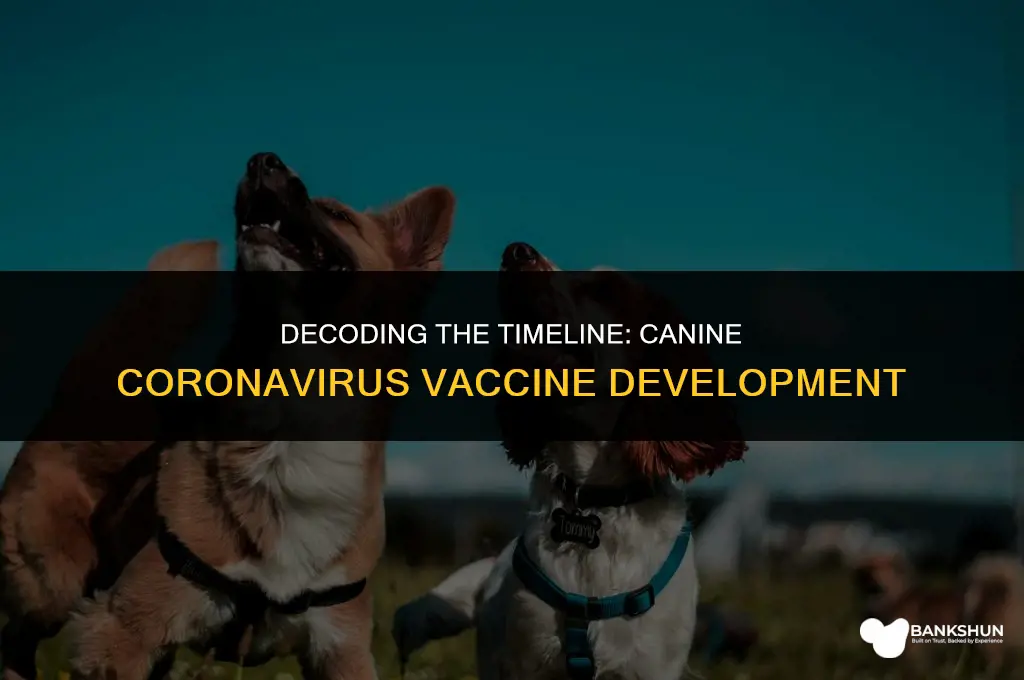 when was the canine coronavirus vaccine made