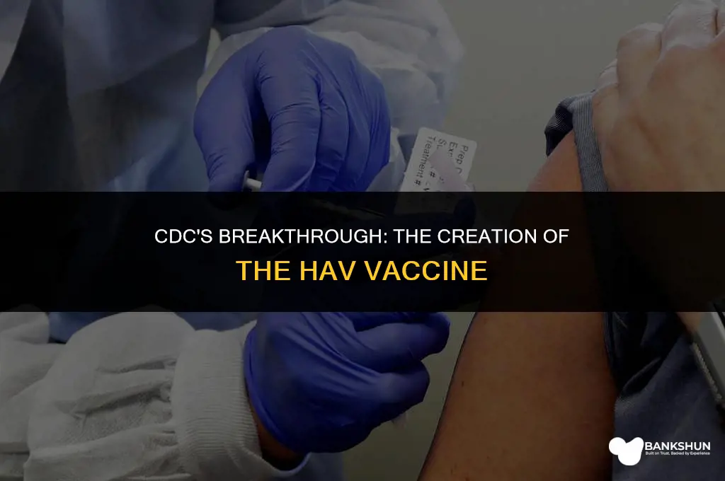 when was the hav vaccine created cdc
