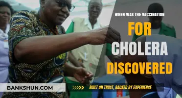 Unveiling the History: Cholera Vaccination's Discovery Timeline