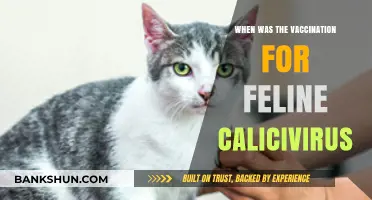 A Shot in Time: Feline Calicivirus Vaccination History Unveiled