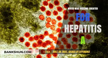 Unveiling the History: Hepatitis A Vaccine Development Timeline