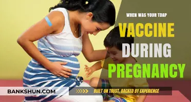 Safeguarding Your Pregnancy: The Importance of Timely Tdap Vaccination