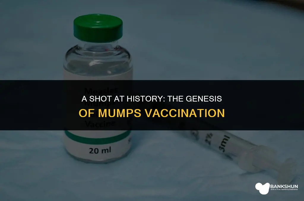 when were vaccination invented for mumps start