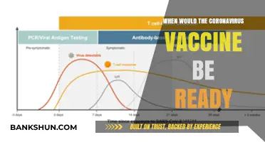 Hope on the Horizon: The Anticipated Arrival of a Coronavirus Vaccine