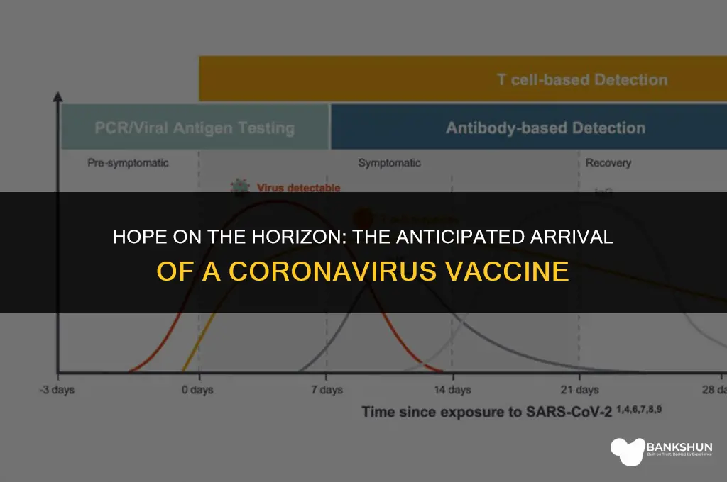 when would the coronavirus vaccine be ready