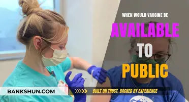 Hope on the Horizon: When Will COVID-19 Vaccines Reach the Public?