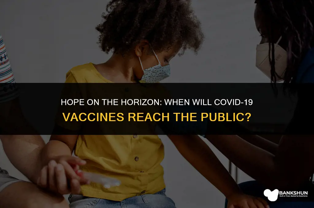 when would vaccine be available to public
