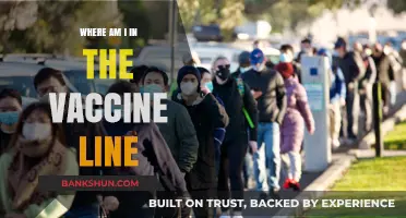 Navigating the Vaccine Queue: Where Do I Stand?
