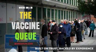 Vaccine Queue Tracker: Where Do I Stand in Line?