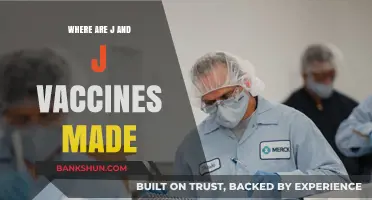 Exploring the Global Production Hubs of J&J Vaccines