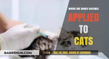Feline Rabies Vaccination: Optimal Injection Sites for Maximum Protection