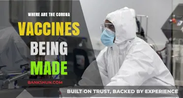 Global Production Hubs: Where COVID-19 Vaccines Are Manufactured