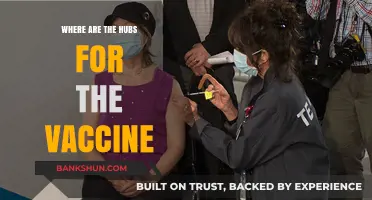 Decoding the Global Vaccine Distribution Network: Where Are the Key Hubs?