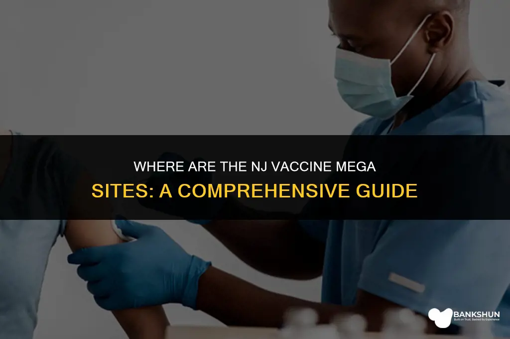 where are the nj vaccine mega sites