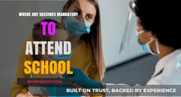 Global Guide to School Vaccine Mandates: Where Immunization is Key to Education