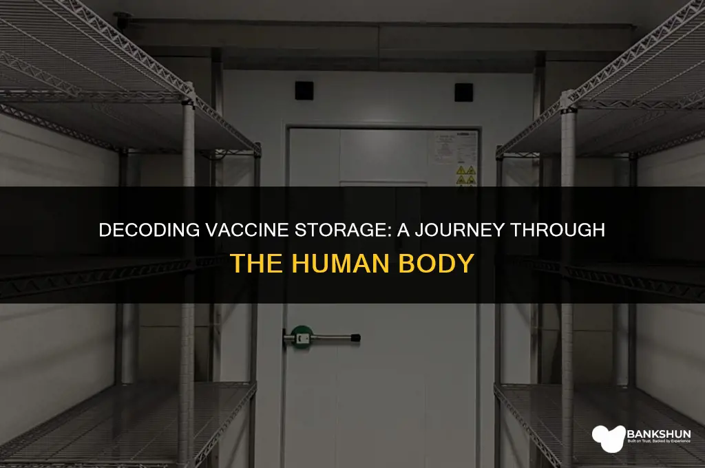 where are vaccines stored in the ody