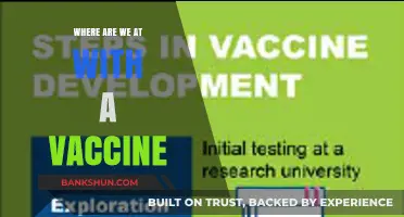 The Current Landscape of Vaccine Development: Progress and Challenges