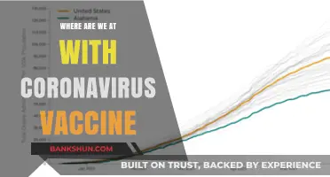 The Current Landscape of Coronavirus Vaccines: Progress and Challenges