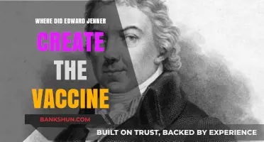 Edward Jenner's Historic Vaccine Discovery: A Look Back