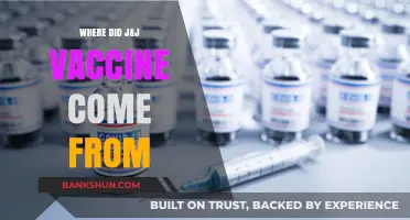 Unveiling the Origins: The Journey of the J&J Vaccine