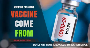 Unraveling the Origins: A Deep Dive into the COVID-19 Vaccine's Journey
