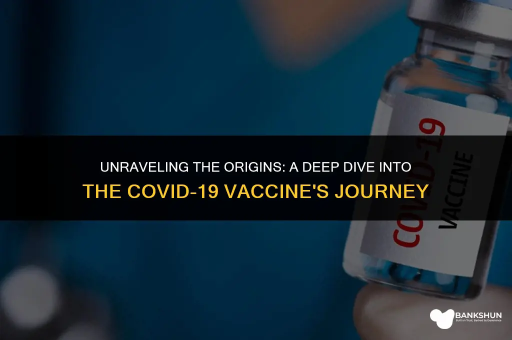 where did the corona vaccine come from