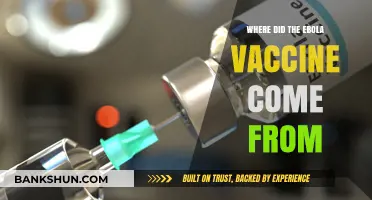 Unraveling the Origins: The Journey of the Ebola Vaccine