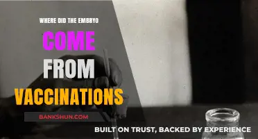 Unraveling the Origins: Embryos and Vaccinations Explained