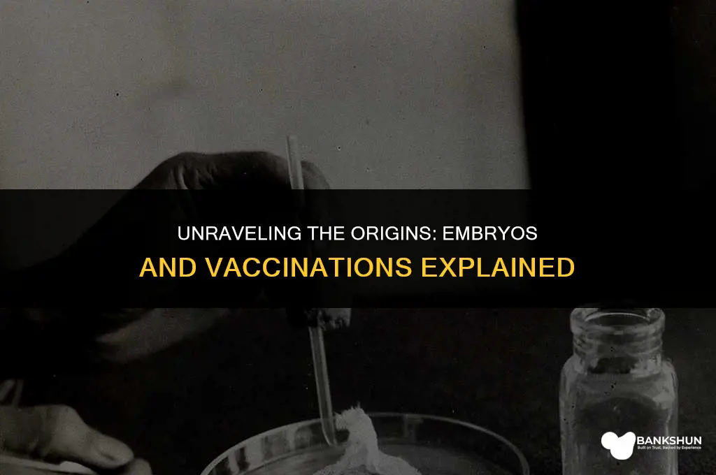 where did the embryo come from vaccinations