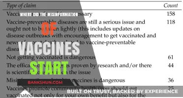 Tracing the Origins: The Genesis of Vaccine Misinformation