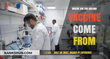 Tracing the Origins: The Journey of the Oxford Vaccine