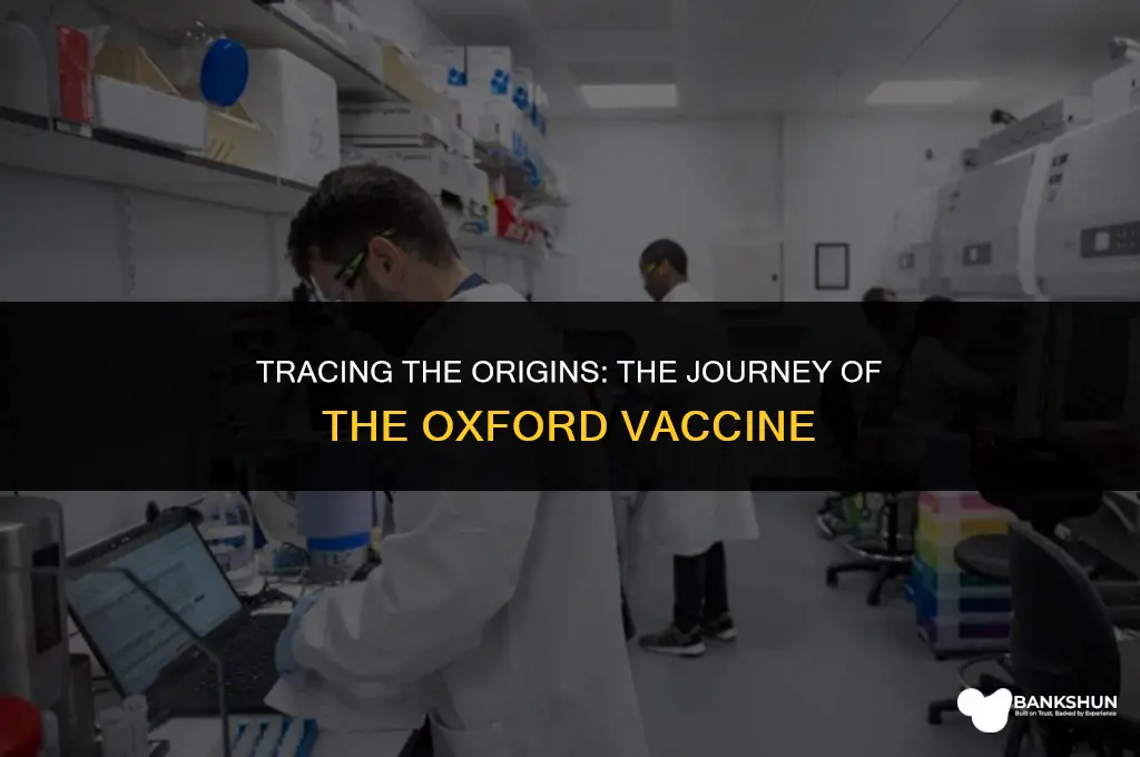 where did the oxford vaccine come from