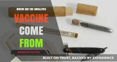 Tracing the Origins: The Fascinating History of the Smallpox Vaccine