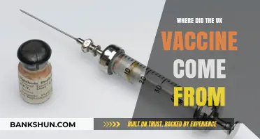 Tracing the Origins: The Journey of the UK's COVID-19 Vaccine
