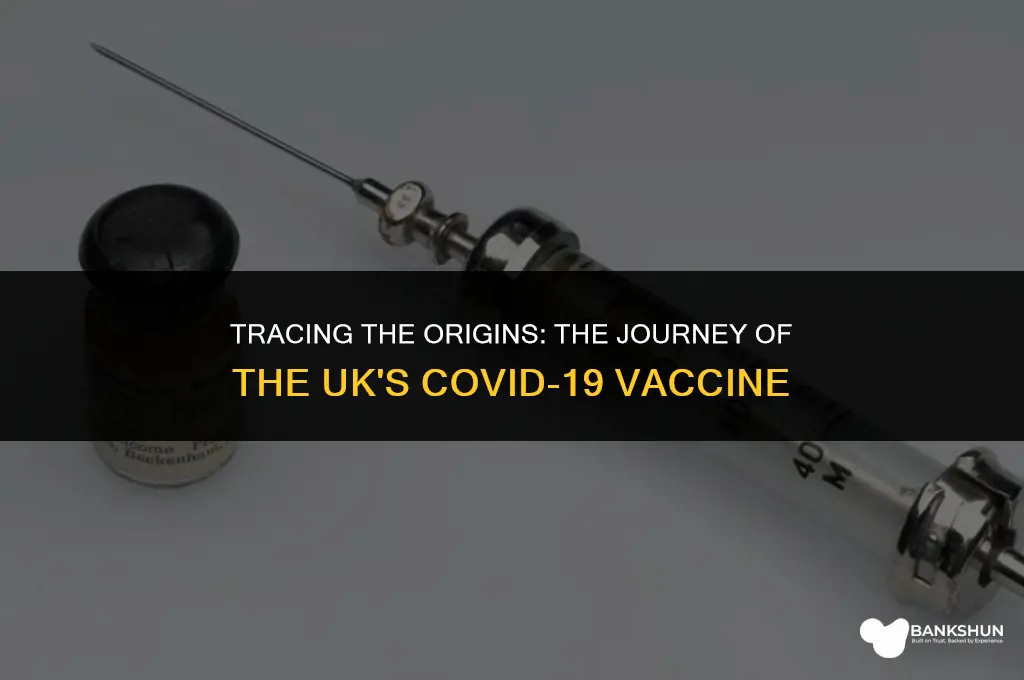 where did the uk vaccine come from
