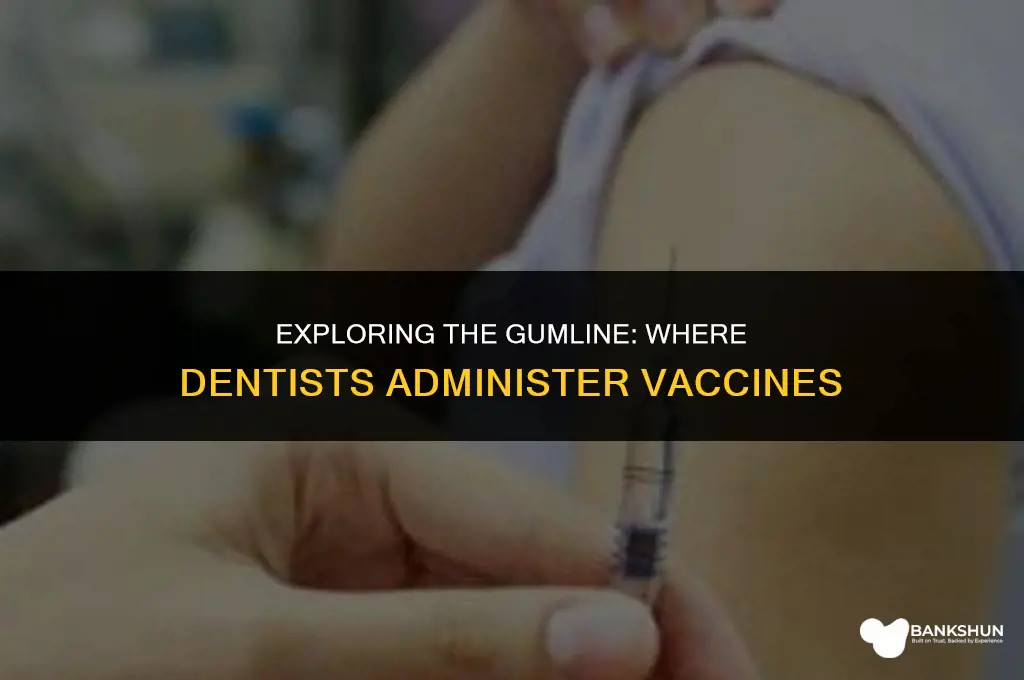 where do dentists vaccine on the gumline