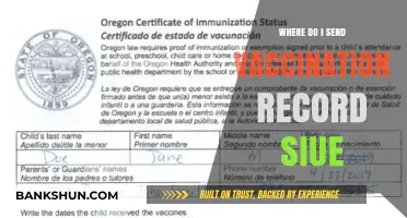 Where to Send Vaccination Records: A Comprehensive Guide