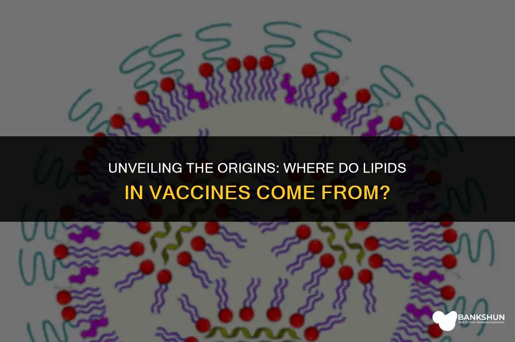 where do lipids in vaccines come from