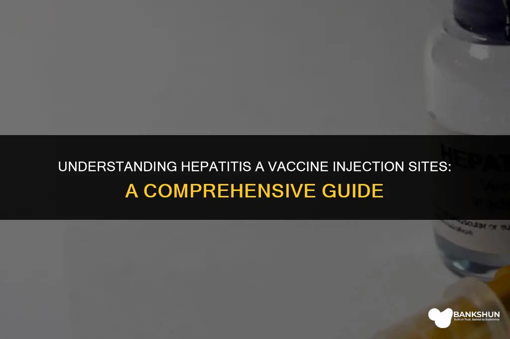 where do the inject hepatitis a vaccine