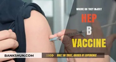Understanding Hepatitis B Vaccine Injection Sites: A Comprehensive Guide